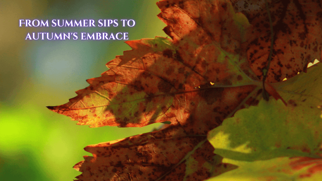 When Summer Fades: A Wine Lover's Guide to Embracing Fall