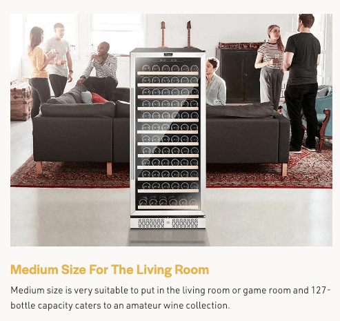 Empava Single Zone Wine Cooler 55 inch Tall Wine Fridge EMPV-WC05S with image of product description