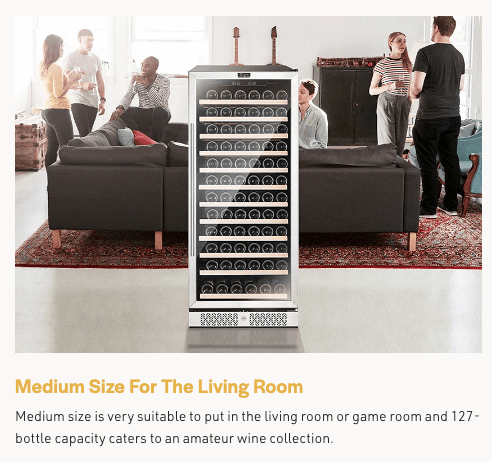 Empava Dual Zone Wine Cooler 55 inch Tall Wine Fridge EMPV-WC06D with image of product description