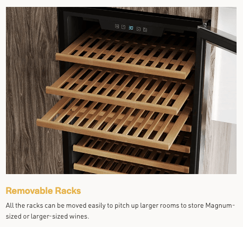 Empava Dual Zone Wine Cooler 55 inch Tall Wine Fridge EMPV-WC06D with image of product description