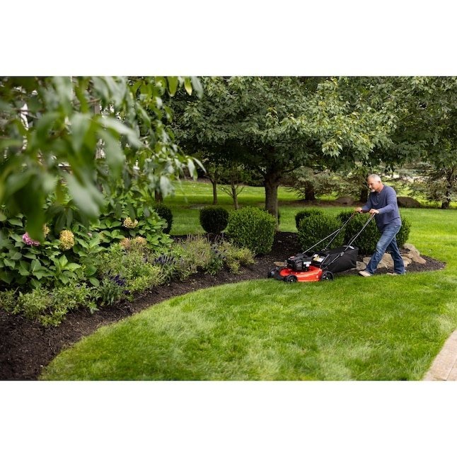 CRAFTSMAN M110 140 - cc 21 - in Push Gas Lawn Mower - Ezonesglobal - Buy at Wine Coolers Online