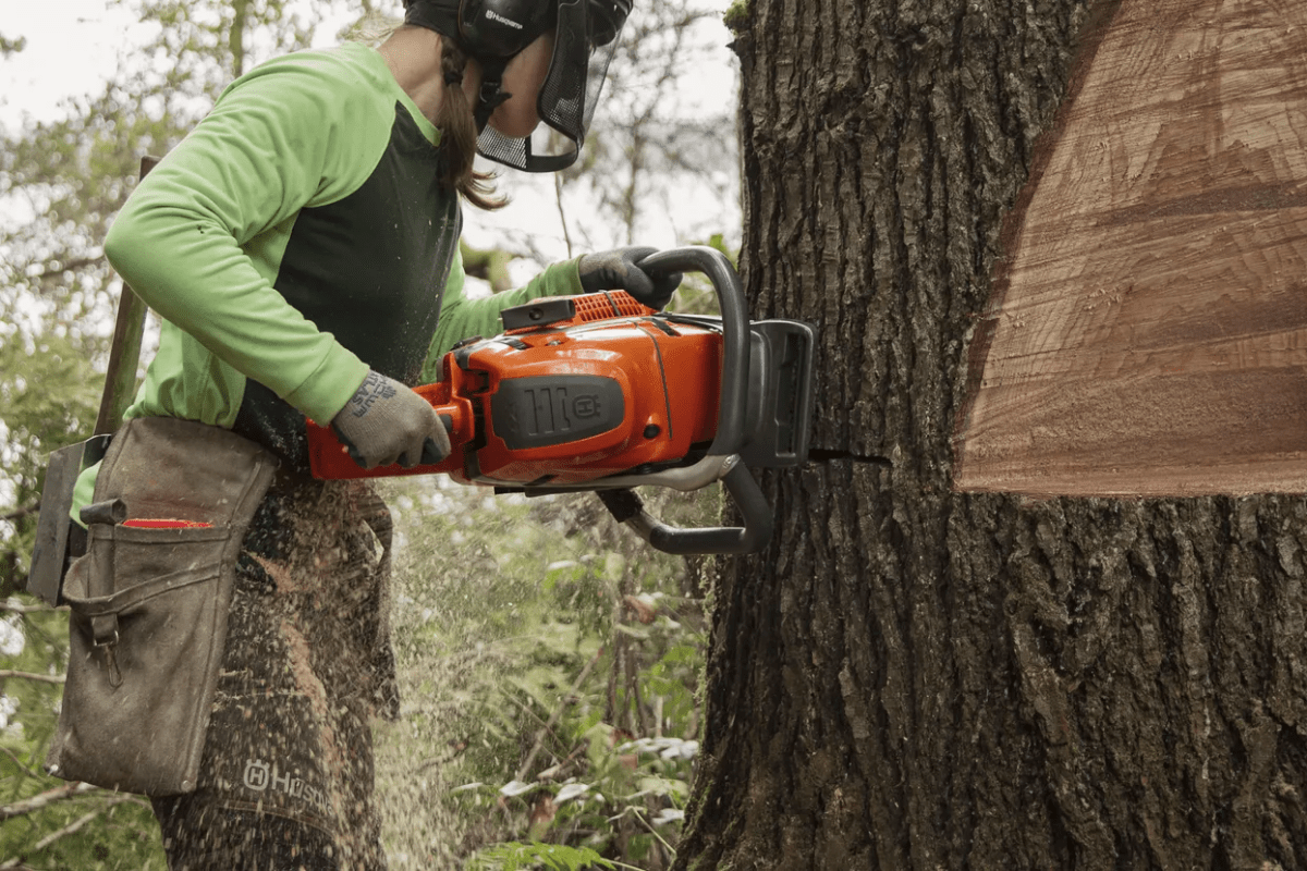 Husqvarna 592XP (93cc) Chainsaws - Ezonesglobal - Buy at Wine Coolers Online