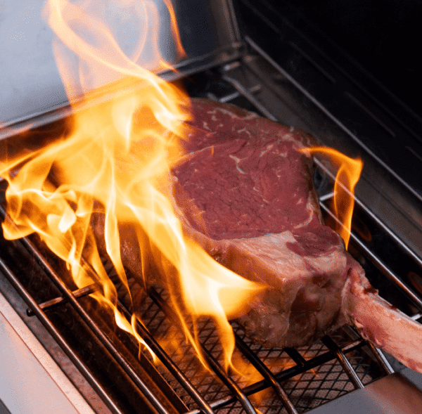 Monument Grills Eminence 605 Advanced Stainless Natural/Propane Gas Grill Eminence 605 - Ezonesglobal - Buy at Wine Coolers Online