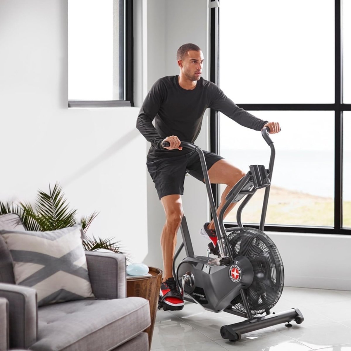 Schwinn Airdyne AD6 Exercise Bike - Ezonesglobal - Buy at Wine Coolers Online