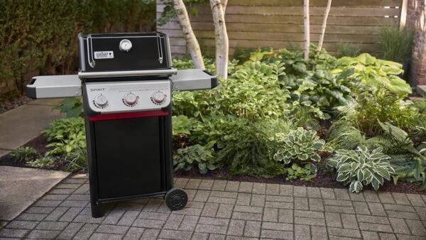 Weber Spirit E - 325 Gas Grill - Ezonesglobal - Buy at Wine Coolers Online