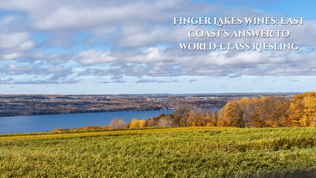 12 Best Finger Lakes Wineries for Wine Collectors (2025 Guide) - Wine Coolers Online
