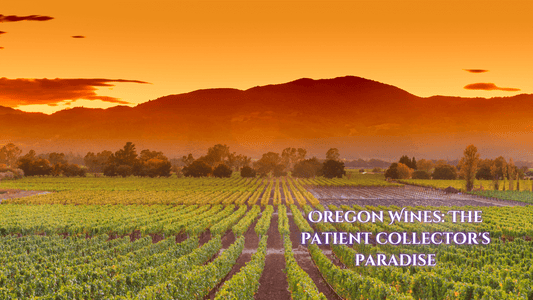 15 Best Oregon Wineries for Wine Collectors (2025 Guide) - Wine Coolers Online