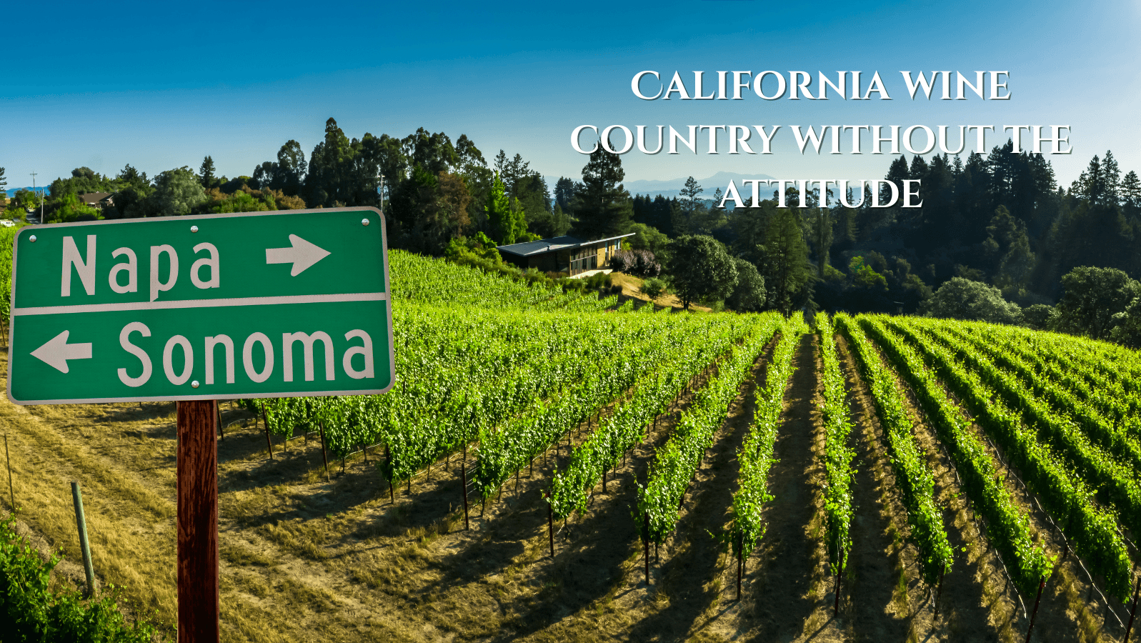 15 Best Sonoma County Wineries for Wine Collectors (2026 Guide) - Wine Coolers Online