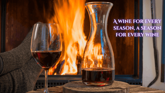 Carafe of wine, glass of wine and person by a fire
