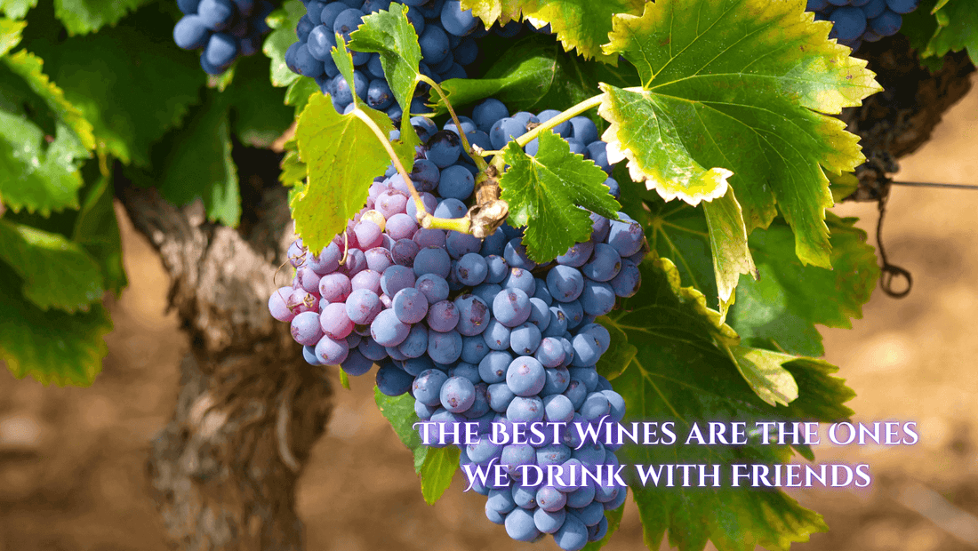 A bunch of purple grapes hanging on the vine