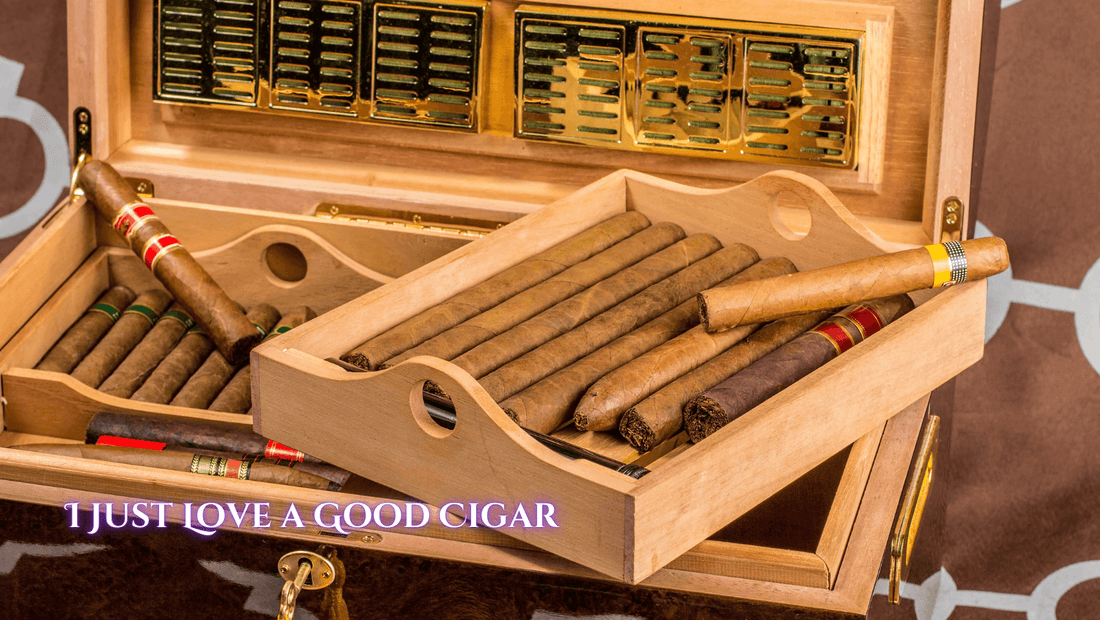 Cigars & Time: A Journey Through the Art of Humidor Selection