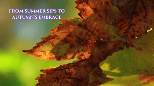 Image of a leaf turning color for Autumn