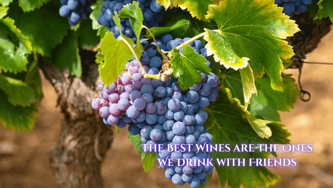 Wine Trends for 2025: A Year of Innovation and Sustainability