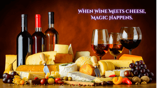 Wine and Cheese Night: Pairing Perfection from Your Wine Cooler