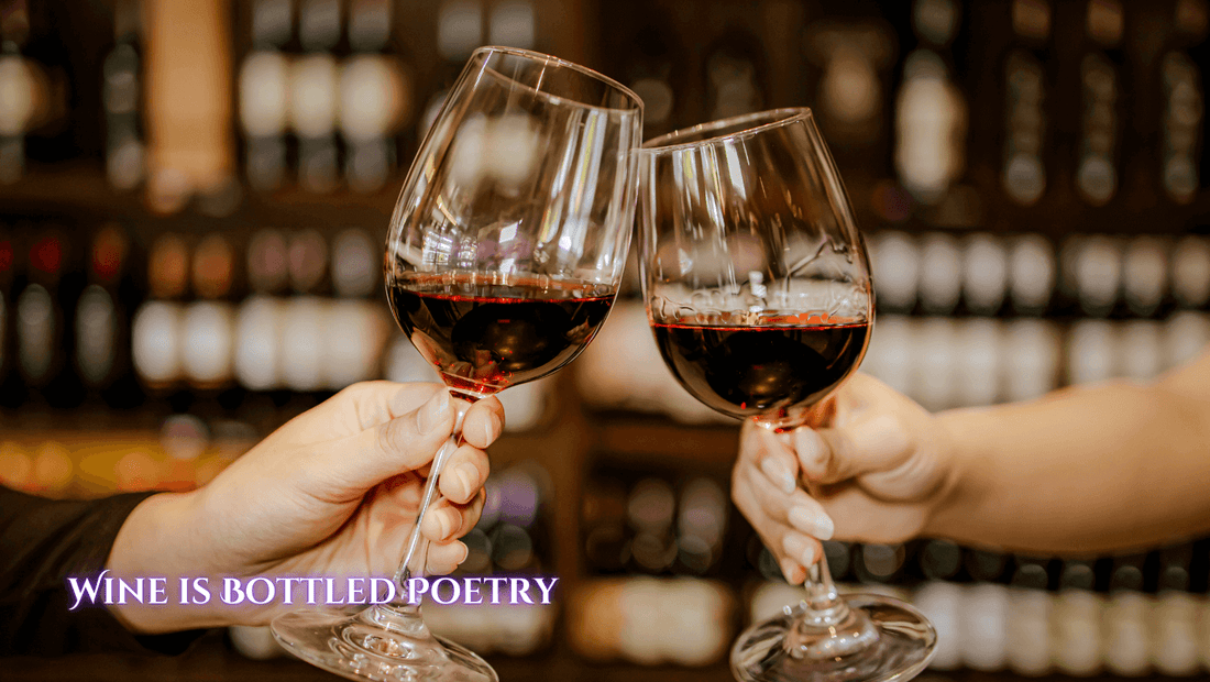 The Ultimate Guide to Wine Storage