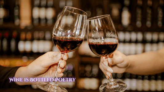 The Ultimate Guide to Wine Storage