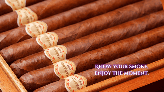 Types of Cigars: A Complete Guide to Cigar Shapes, Sizes, Strengths, and Colors - Wine Coolers Online