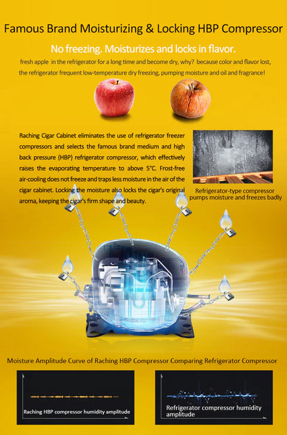 Raching COH300A Premium Oak Cigar Humidor Cabinet | 1100+ Cigars