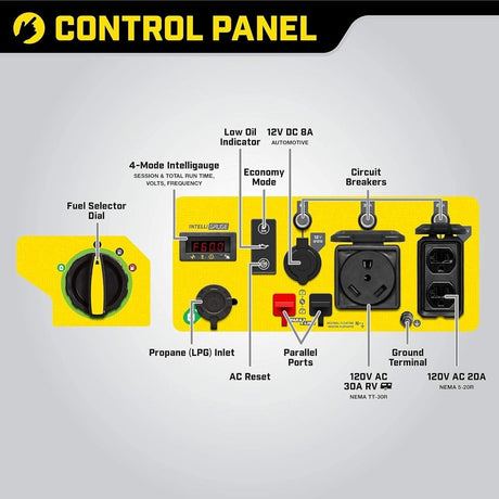 Champion 4250 - Watt Dual Fuel RV Ready Open Frame Inverter Generator - Ezonesglobal - Buy at Wine Coolers Online