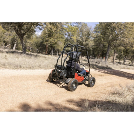 Coleman Powersports GK100 One - Seater Go Kart - Ezonesglobal - Buy at Wine Coolers Online