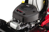 Craftsman 42 - in. Gear Gas Riding Mower - Ezonesglobal - Buy at Wine Coolers Online