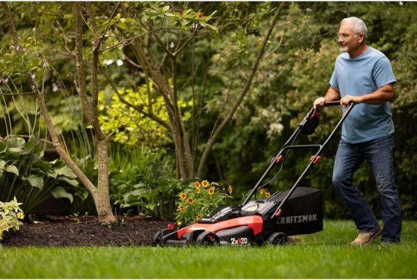 CRAFTSMAN V20 Lawn Mower, Push Mower - Ezonesglobal - Buy at Wine Coolers Online