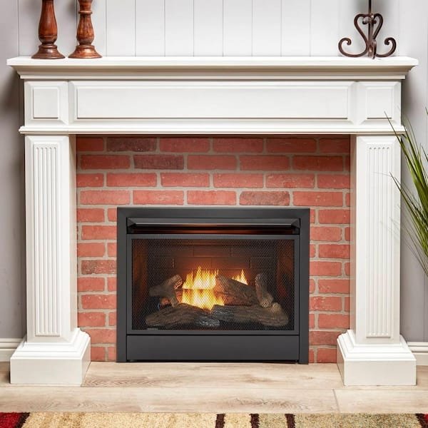 Duluth Forge Dual Fuel Ventless Gas Fireplace Insert - Ezonesglobal - Buy at Wine Coolers Online