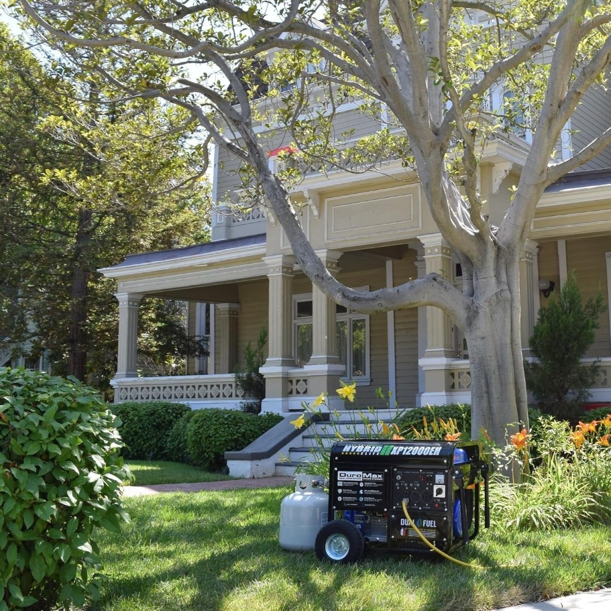DuroMax XP12000EH 12,000 Watt Dual Fuel Portable Generator - Ezonesglobal - Buy at Wine Coolers Online