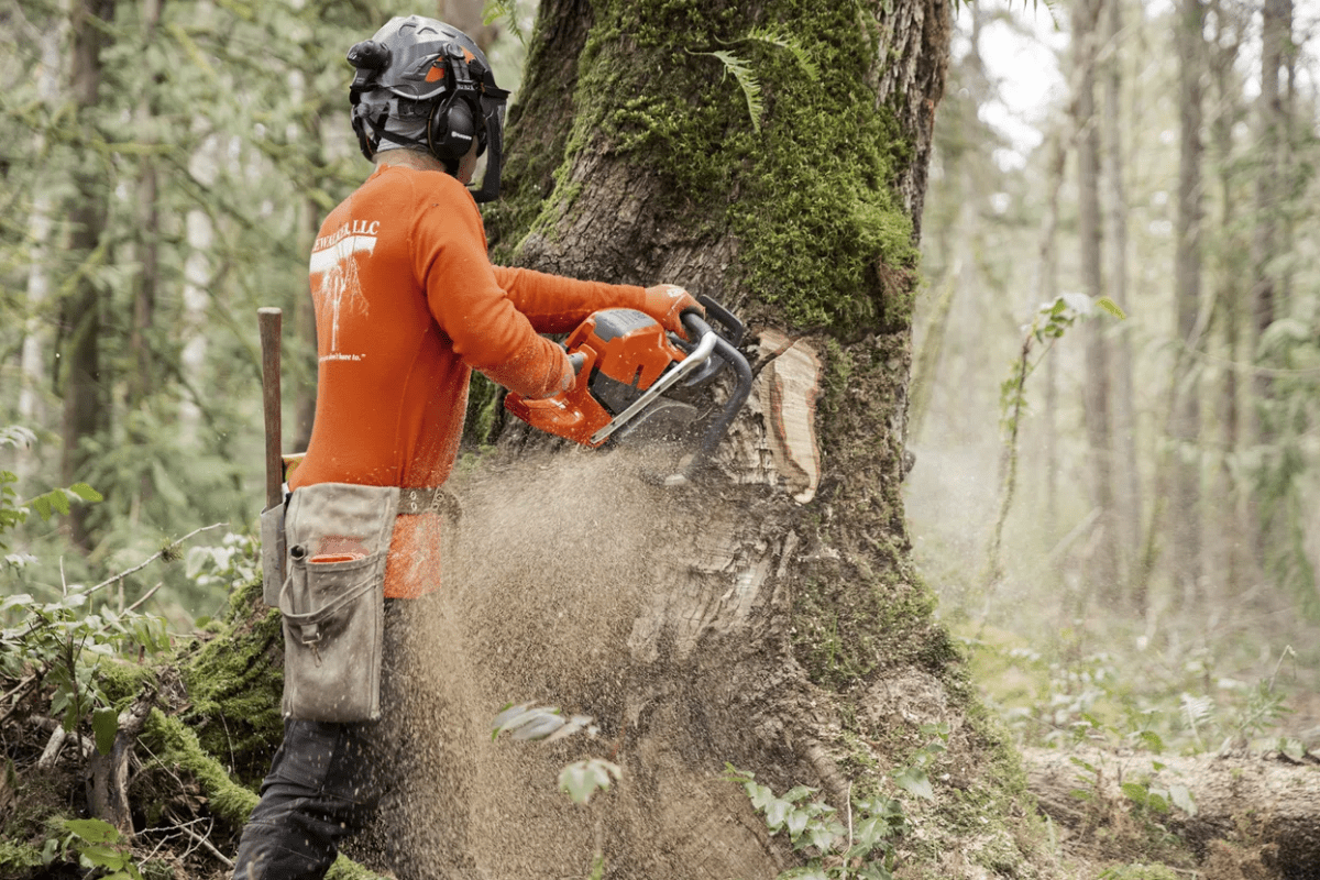 Husqvarna 592XP (93cc) Chainsaws - Ezonesglobal - Buy at Wine Coolers Online