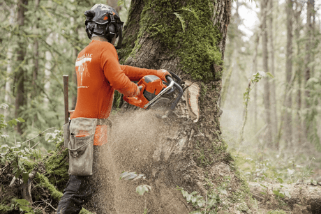 Husqvarna 592XP (93cc) Chainsaws - Ezonesglobal - Buy at Wine Coolers Online