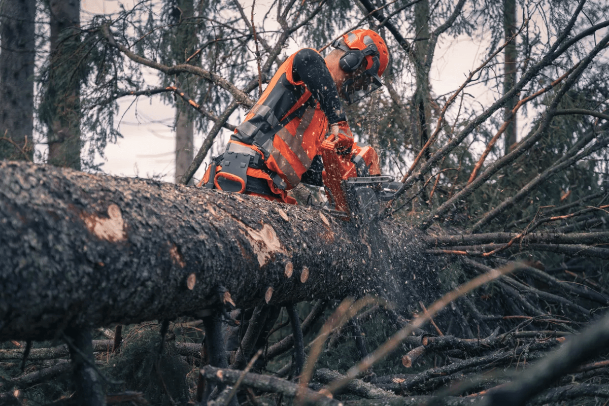 Husqvarna 592XP (93cc) Chainsaws - Ezonesglobal - Buy at Wine Coolers Online