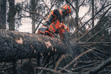 Husqvarna 592XP (93cc) Chainsaws - Ezonesglobal - Buy at Wine Coolers Online
