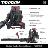 PRORUN PBB2884 Gas Backpack Leaf Blower - Ezonesglobal - Buy at Wine Coolers Online