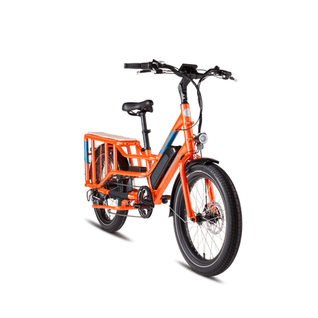 Rad Power Bikes RadWagon 4 Electric Cargo Bike - Ezonesglobal - Buy at Wine Coolers Online