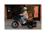Rad Power Bikes RadWagon 5 Electric Cargo Bike - Ezonesglobal - Buy at Wine Coolers Online