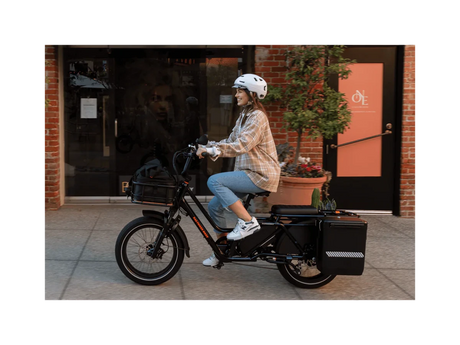 Rad Power Bikes RadWagon 5 Electric Cargo Bike - Ezonesglobal - Buy at Wine Coolers Online