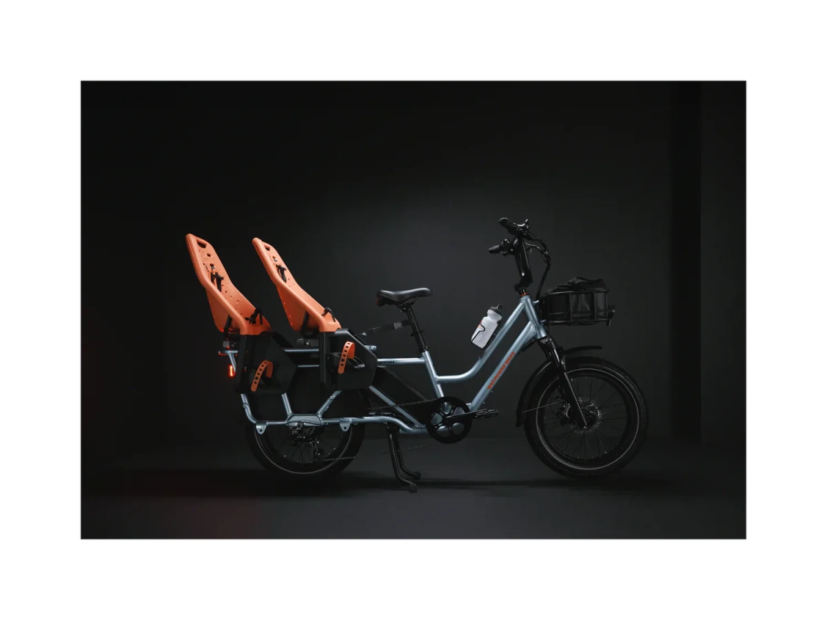 Rad Power Bikes RadWagon 5 Electric Cargo Bike - Ezonesglobal - Buy at Wine Coolers Online
