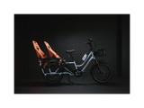 Rad Power Bikes RadWagon 5 Electric Cargo Bike - Ezonesglobal - Buy at Wine Coolers Online