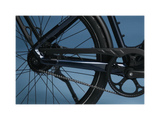 Rad Power RadKick Belt Drive Electric Lightweight Bike - Ezonesglobal - Buy at Wine Coolers Online