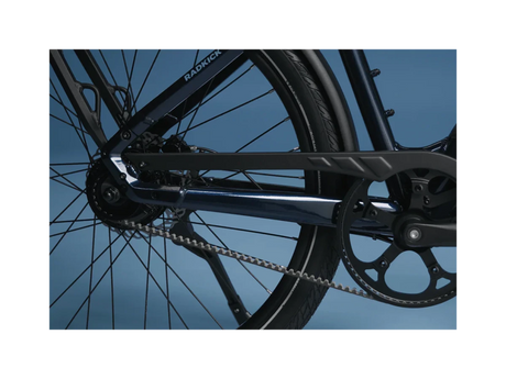 Rad Power RadKick Belt Drive Electric Lightweight Bike - Ezonesglobal - Buy at Wine Coolers Online