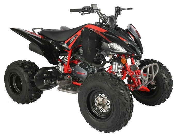Regency PRO Ultra Sport 250cc ATV - Ezonesglobal - Buy at Wine Coolers Online