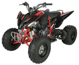 Regency PRO Ultra Sport 250cc ATV - Ezonesglobal - Buy at Wine Coolers Online