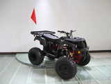 Rps 200cc Utility 169 cc ATV - Ezonesglobal - Buy at Wine Coolers Online