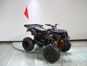 Rps 200cc Utility 169 cc ATV - Ezonesglobal - Buy at Wine Coolers Online