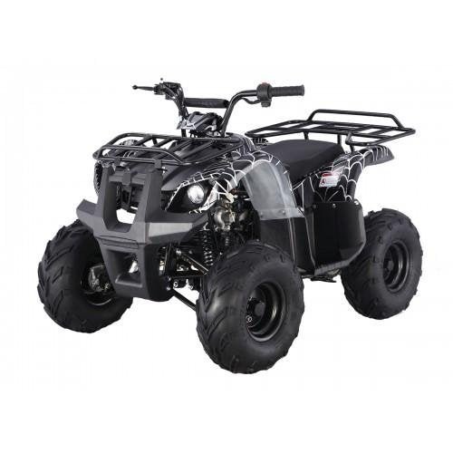 Tao Motor D125 Kids ATVs - Ezonesglobal - Buy at Wine Coolers Online