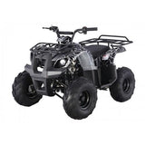 Tao Motor D125 Kids ATVs - Ezonesglobal - Buy at Wine Coolers Online