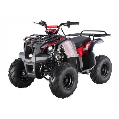 Tao Motor D125 Kids ATVs - Ezonesglobal - Buy at Wine Coolers Online