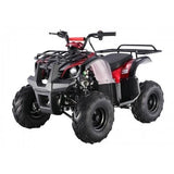 Tao Motor D125 Kids ATVs - Ezonesglobal - Buy at Wine Coolers Online