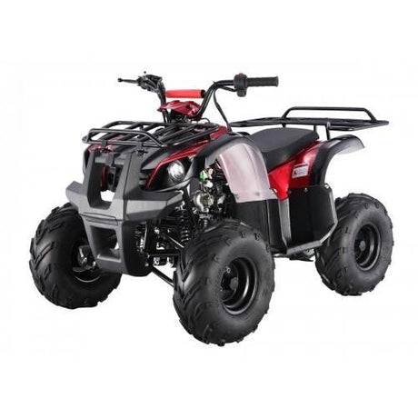 Tao Motor D125 Kids ATVs - Ezonesglobal - Buy at Wine Coolers Online