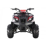 Tao Motor D125 Kids ATVs - Ezonesglobal - Buy at Wine Coolers Online